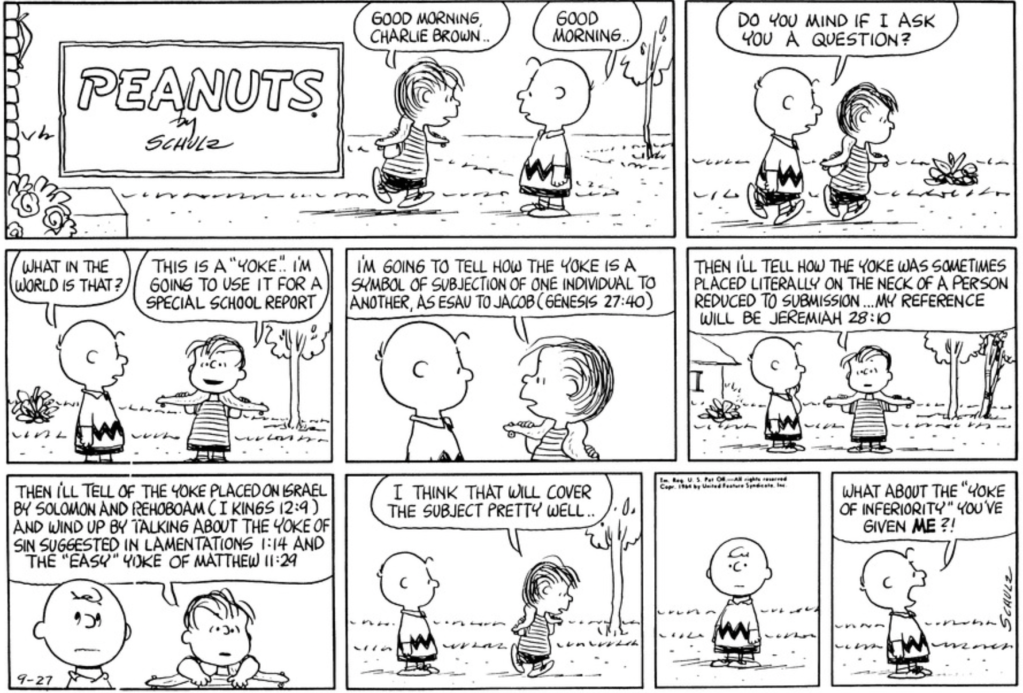 Linus, wearing a yoke around his neck, meets Charlie Brown on the sidewalk. Charlie Brown: "What in the world is that?" "This is a 'yoke'," Linus explains. "I'm going to use it for a special school report. I'm going to tell how the yoke is a symbol of subjection of one individual to another, as Esau to Jacob (Genesis 27:40). Then I'll tell how the yoke was sometimes placed literally on the neck of a person reduced to submission... My reference will be Jeremiah 28:10. Then," Linus continues, as Charlie Brown discreetly rolls his eyes, "I'll tell of the yoke placed on Israel by Solomon and Rehoboam (1 Kings 12:9) and wind up talking about the yoke of sin suggested in Lamentations 1:14 and the "easy" yoke of Matthew 11:29. I think that will cover the subject pretty well," Linus concludes as he walks out of frame. Charlie Brown pauses for a panel, then yells in Linus's direction: "What about the 'yoke of inferiority' you've given ME?!"